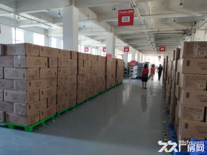 平面包装\图册设计